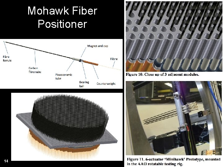 Mohawk Fiber Positioner 14 