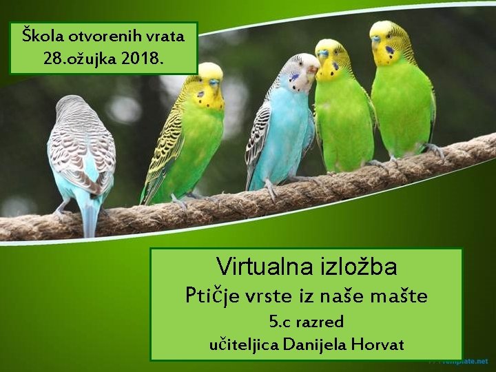 Škola otvorenih vrata 28. ožujka 2018. Virtualna izložba Ptičje vrste iz naše mašte 5.