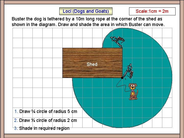 Loci (Dogs and Goats) EX Q 1 Scale: 1 cm = 2 m Buster