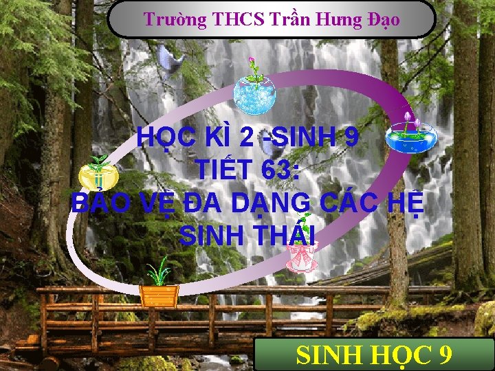 Trường THCS Trần Hưng Đạo Text HỌC KÌ 2 -SINH 9 TIẾT 63: BẢO