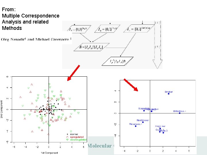 From: Multiple Correspondence Analysis and related Methods Max Planck Institute for Molecular Genetics From: Multiple Correspondence Analysis and related Methods Max Planck Institute for Molecular Genetics