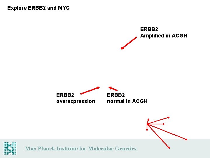 Explore ERBB 2 and MYC ERBB 2 Amplified in ACGH ERBB 2 overexpression ERBB