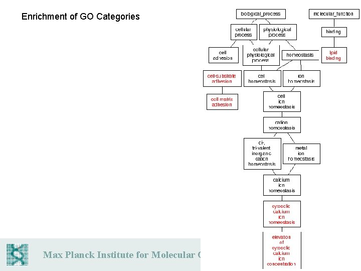 Enrichment of GO Categories Max Planck Institute for Molecular Genetics 