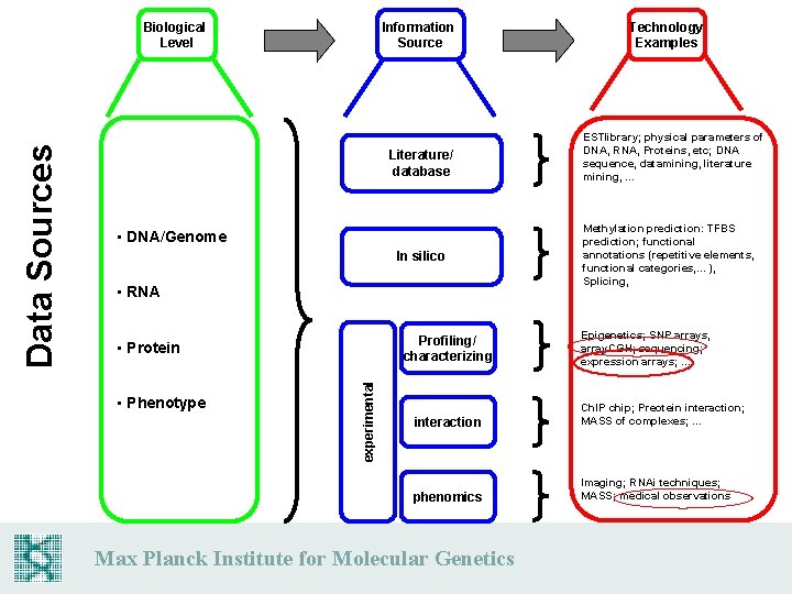 Information Source Literature/ database • DNA/Genome In silico • RNA Profiling/ characterizing • Protein