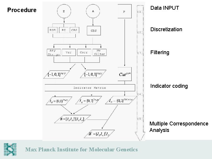 Procedure Data INPUT Discretization Filtering Indicator coding Multiple Correspondence Analysis Max Planck Institute for