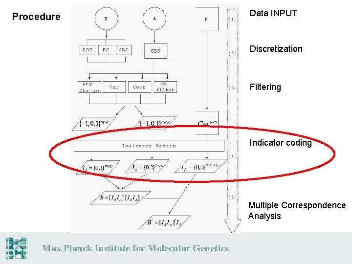 Procedure Data INPUT Discretization Filtering Indicator coding Multiple Correspondence Analysis Max Planck Institute for