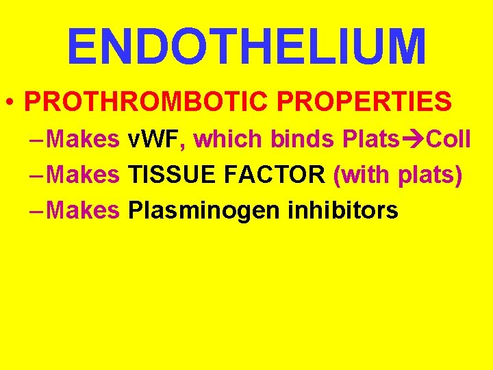 ENDOTHELIUM • PROTHROMBOTIC PROPERTIES – Makes v. WF, which binds Plats Coll – Makes