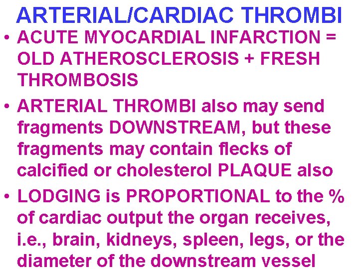 ARTERIAL/CARDIAC THROMBI • ACUTE MYOCARDIAL INFARCTION = OLD ATHEROSCLEROSIS + FRESH THROMBOSIS • ARTERIAL