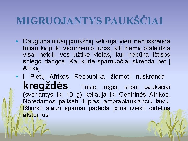 MIGRUOJANTYS PAUKŠČIAI • Dauguma mūsų paukščių keliauja: vieni nenuskrenda toliau kaip iki Viduržemio jūros,