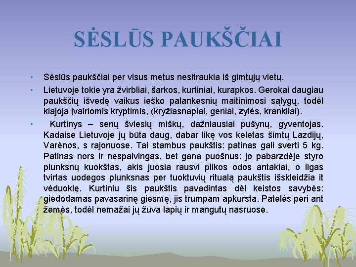 SĖSLŪS PAUKŠČIAI • • • Sėslūs paukščiai per visus metus nesitraukia iš gimtųjų vietų. SĖSLŪS PAUKŠČIAI • • • Sėslūs paukščiai per visus metus nesitraukia iš gimtųjų vietų.