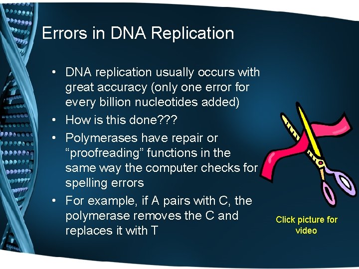 Errors in DNA Replication • DNA replication usually occurs with great accuracy (only one