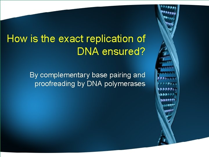 How is the exact replication of DNA ensured? By complementary base pairing and proofreading