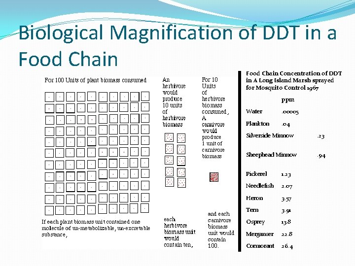 Biological Magnification of DDT in a Food Chain Concentration of DDT in A Long