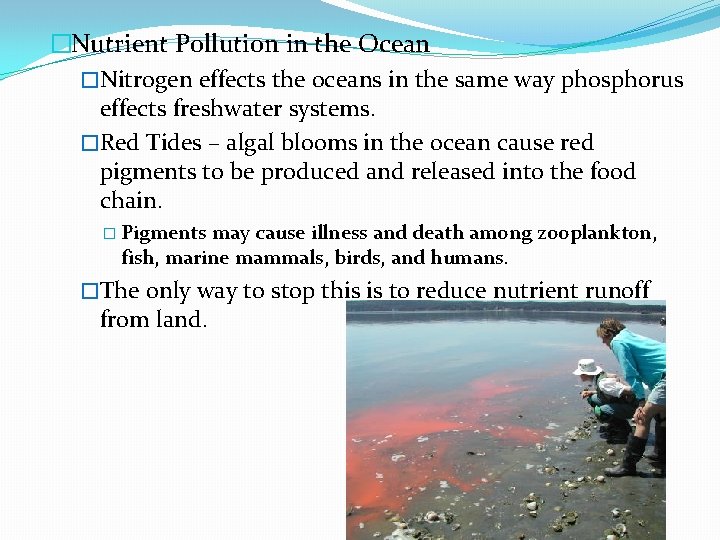 �Nutrient Pollution in the Ocean �Nitrogen effects the oceans in the same way phosphorus