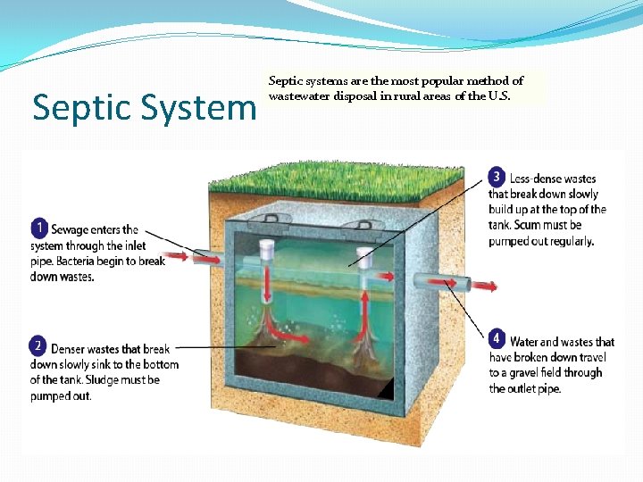 Septic System Septic systems are the most popular method of wastewater disposal in rural