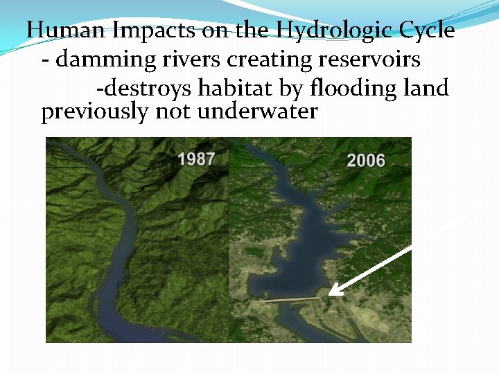 Human Impacts on the Hydrologic Cycle - damming rivers creating reservoirs -destroys habitat by