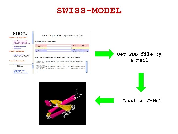 SWISS-MODEL Get PDB file by E-mail Load to J-Mol SWISS-MODEL Get PDB file by E-mail Load to J-Mol