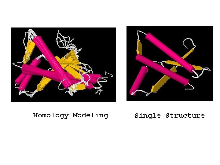Homology Modeling Single Structure Homology Modeling Single Structure
