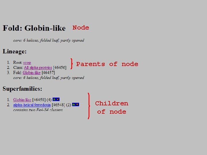 Node Parents of node Children of node Node Parents of node Children of node