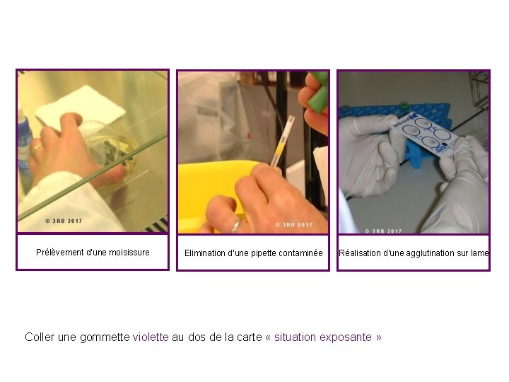 Prélèvement d’une moisissure Elimination d’une pipette contaminée Réalisation d’une agglutination sur lame Coller une