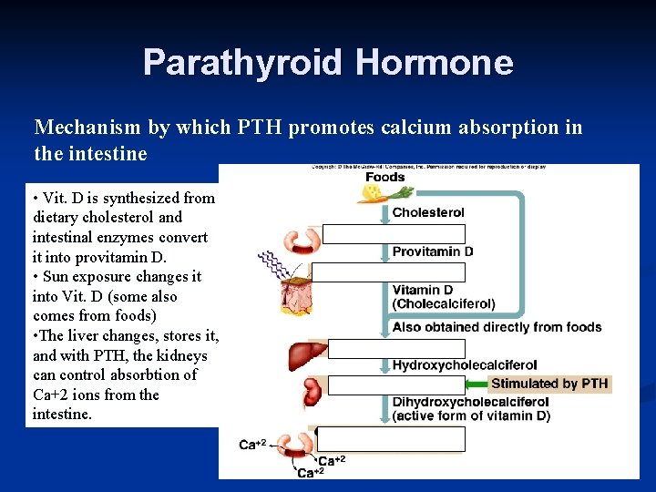 Parathyroid Hormone Mechanism by which PTH promotes calcium absorption in the intestine • Vit.