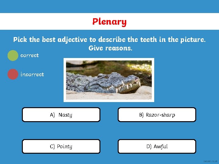 Plenary Pick the best adjective to describe the teeth in the picture. Give reasons.