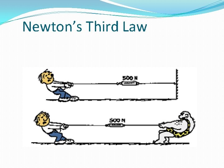 Newton’s Third Law 