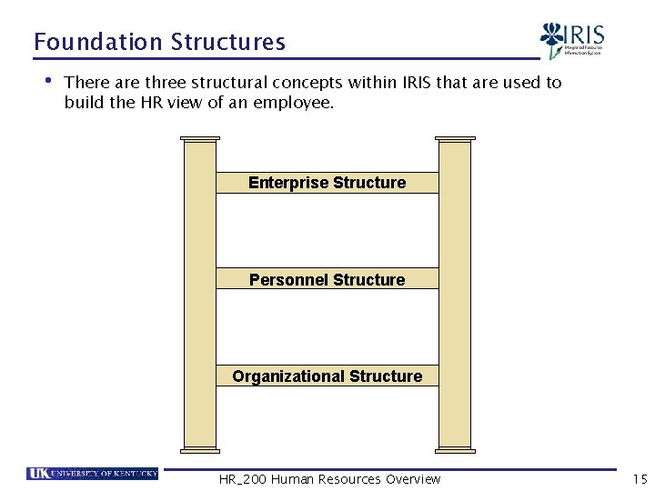 Foundation Structures • There are three structural concepts within IRIS that are used to