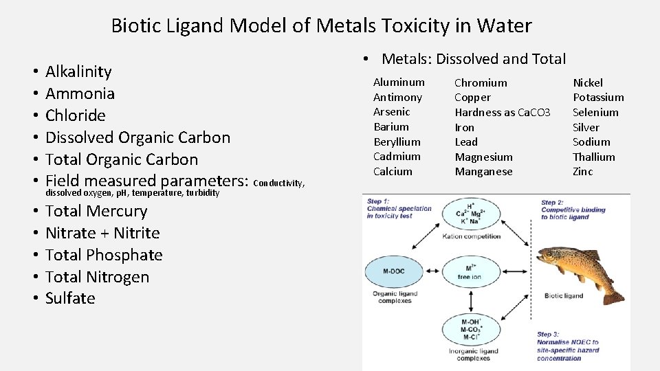 Biotic Ligand Model of Metals Toxicity in Water • • • Alkalinity Ammonia Chloride