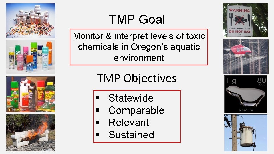 TMP Goal Monitor & interpret levels of toxic chemicals in Oregon’s aquatic environment TMP
