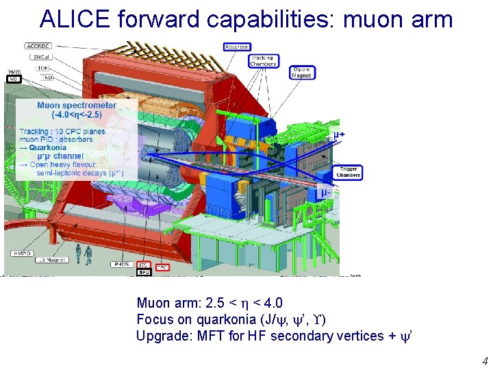 ALICE forward capabilities: muon arm Muon arm: 2. 5 < h < 4. 0