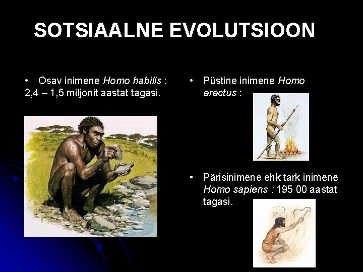 SOTSIAALNE EVOLUTSIOON • Osav inimene Homo habilis : 2, 4 – 1, 5 miljonit