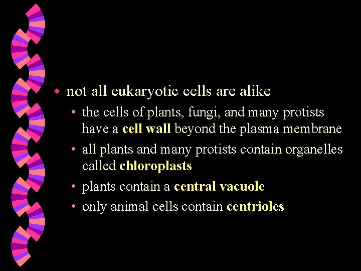 w not all eukaryotic cells are alike • the cells of plants, fungi, and