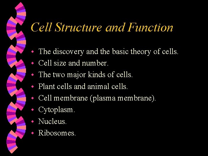 Cell Structure and Function w w w w The discovery and the basic theory