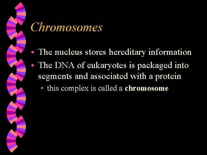 Chromosomes The nucleus stores hereditary information w The DNA of eukaryotes is packaged into