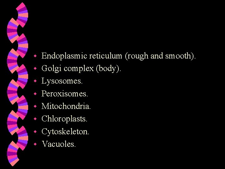 w w w w Endoplasmic reticulum (rough and smooth). Golgi complex (body). Lysosomes. Peroxisomes.