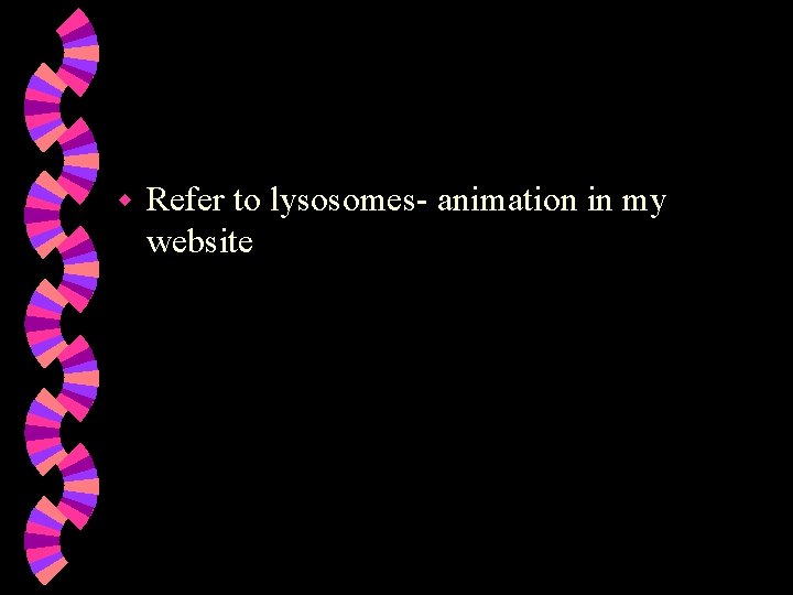 w Refer to lysosomes- animation in my website 