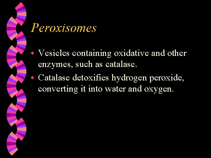 Peroxisomes Vesicles containing oxidative and other enzymes, such as catalase. w Catalase detoxifies hydrogen