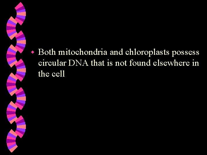 w Both mitochondria and chloroplasts possess circular DNA that is not found elsewhere in