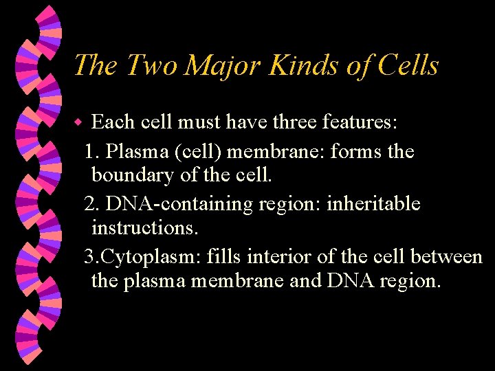 The Two Major Kinds of Cells w Each cell must have three features: 1.