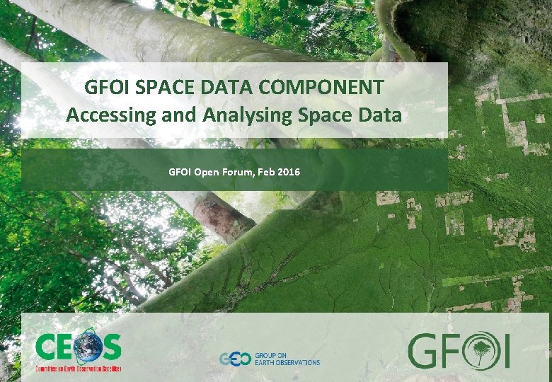 www. earthobservations. org www. gfoi. org GFOI SPACE DATA COMPONENT Accessing and Analysing Space