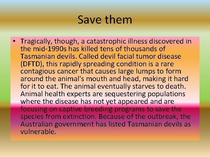 BLACK MAMBA THE TASMANIAN DEVIL STRUCTURAL AND BEHAVIOURAL