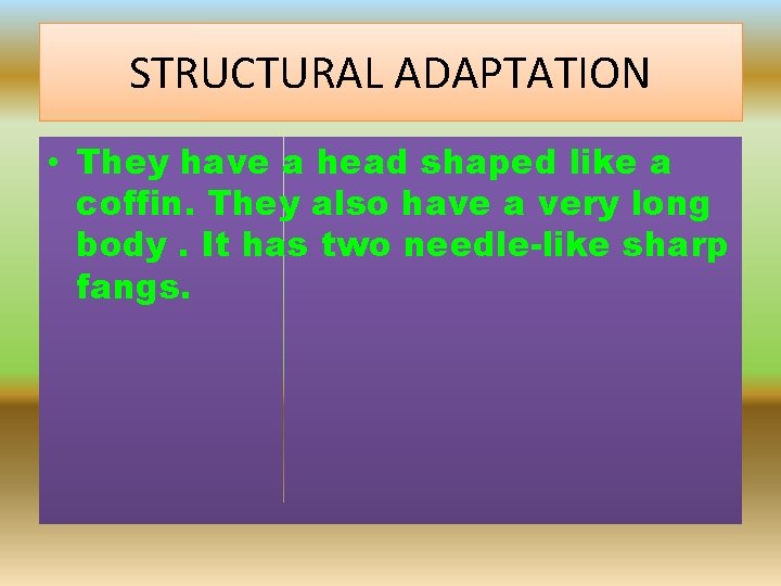 BLACK MAMBA THE TASMANIAN DEVIL STRUCTURAL AND BEHAVIOURAL