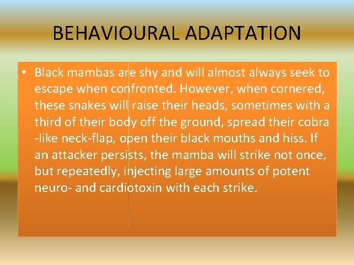 BLACK MAMBA THE TASMANIAN DEVIL STRUCTURAL AND BEHAVIOURAL