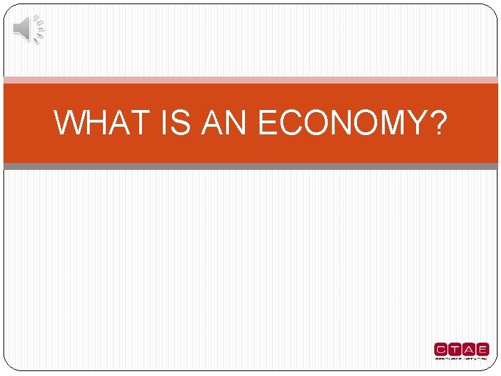 WHAT IS AN ECONOMY? 