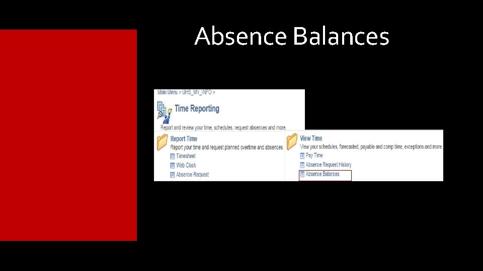 Absence Balances Absence Balances