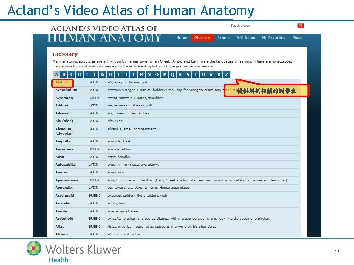 Acland’s Video Atlas of Human Anatomy 提供解剖相關的詞彙表 13 