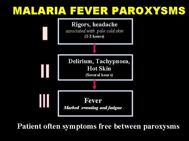 MALARIA FEVER PAROXYSMS Rigors, headache associated with pale cold skin (1 -2 hours) Delirium,