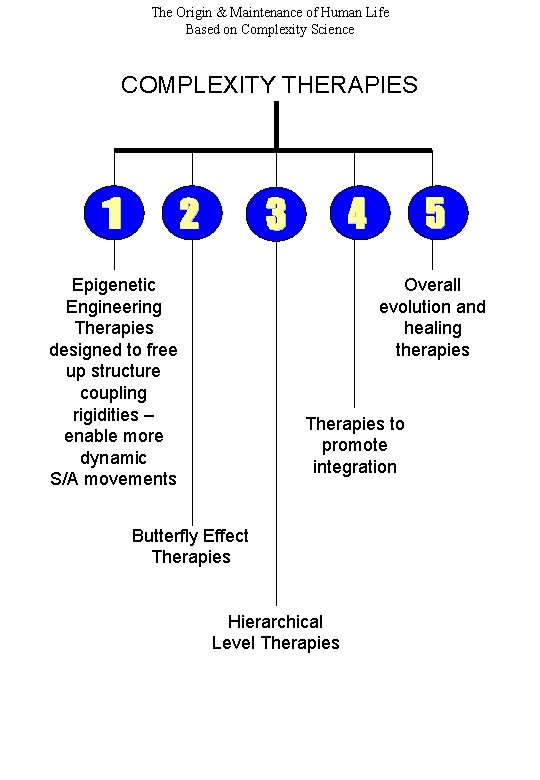 The Origin & Maintenance of Human Life Based on Complexity Science COMPLEXITY THERAPIES Epigenetic The Origin & Maintenance of Human Life Based on Complexity Science COMPLEXITY THERAPIES Epigenetic