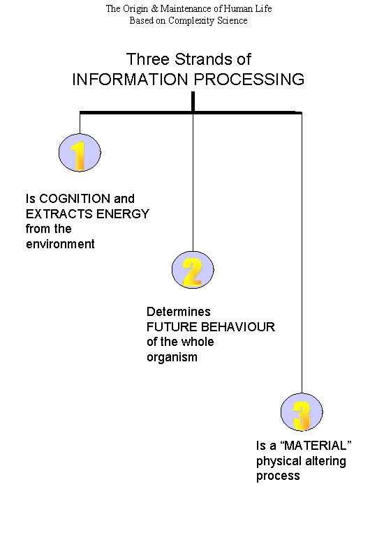 The Origin & Maintenance of Human Life Based on Complexity Science Three Strands of The Origin & Maintenance of Human Life Based on Complexity Science Three Strands of